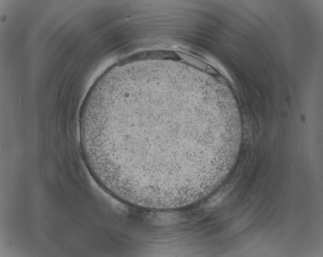 X0000078231095200612011534