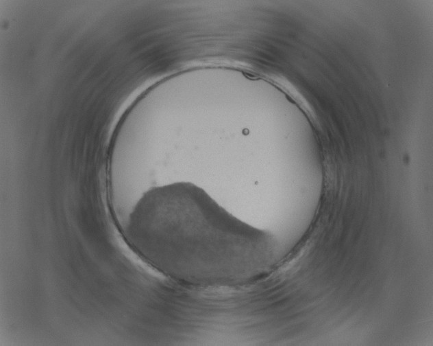 X0000078231100200612011533