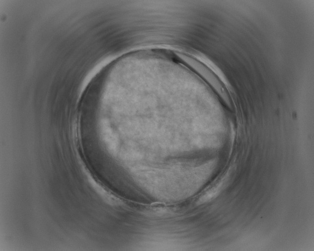 X0000078231101200612011533