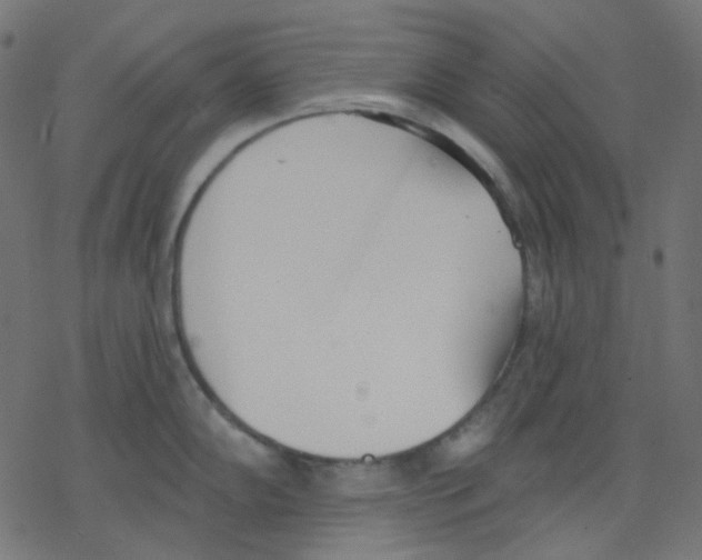 X0000078231102200612011533