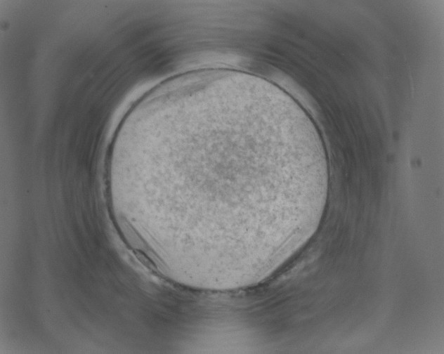 X0000078231104200612011533