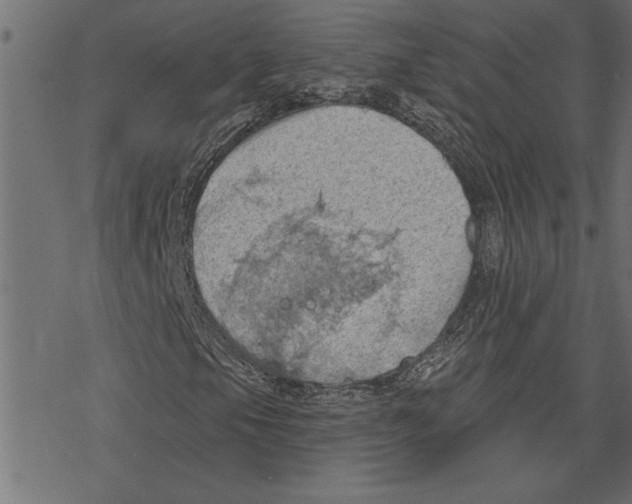 X0000078231105200612011533