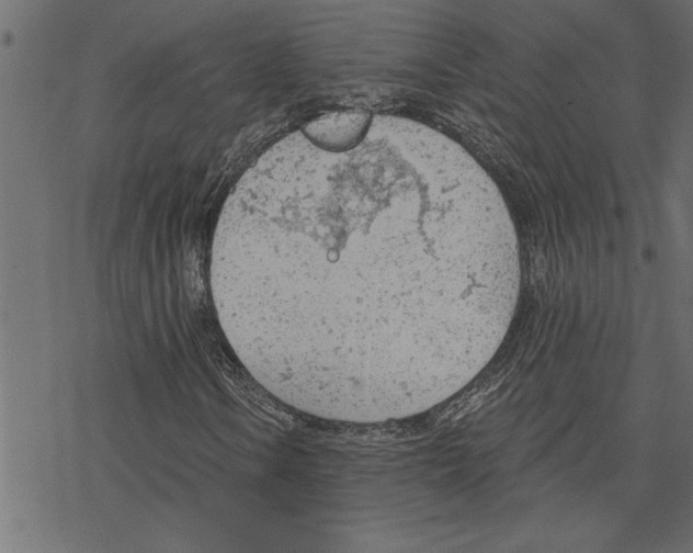 X0000078231106200612011533