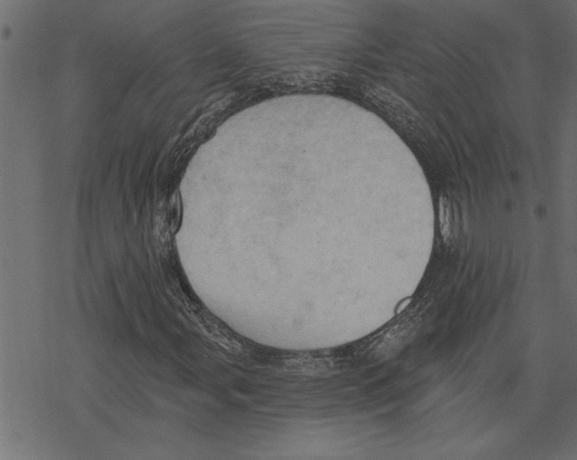 X0000078231107200612011533