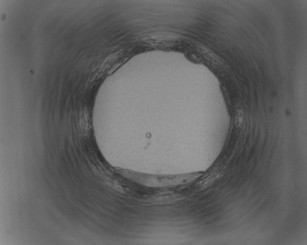 X0000078231108200612011533