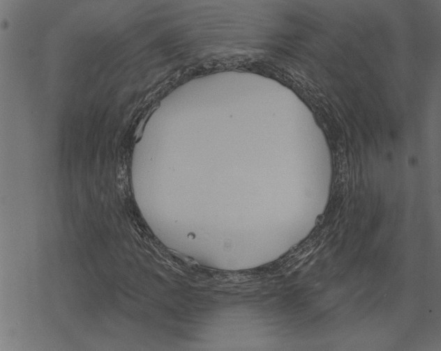 X0000078231109200612011533