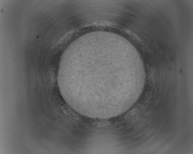 X0000078231110200612011533