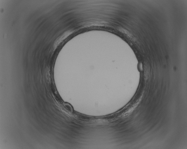 X0000078231113200612011533