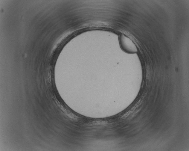 X0000078231115200612011533