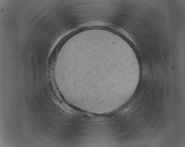 X0000078231116200612011533