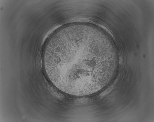 X0000078231117200612011533