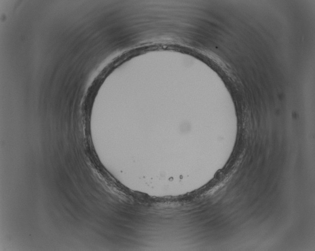 X0000078231118200612011533