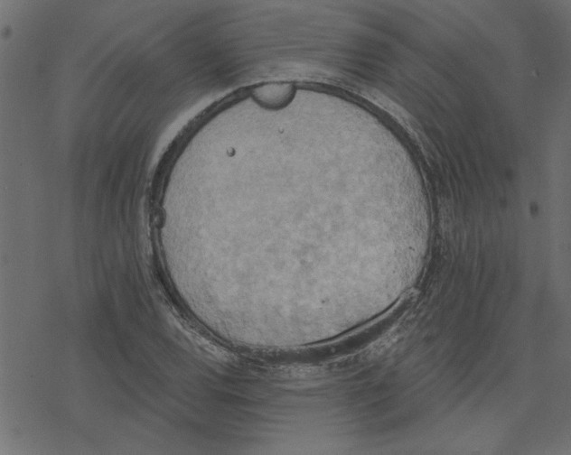 X0000078231120200612011533