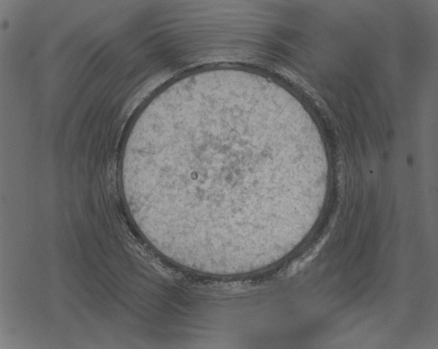 X0000078231121200612011533