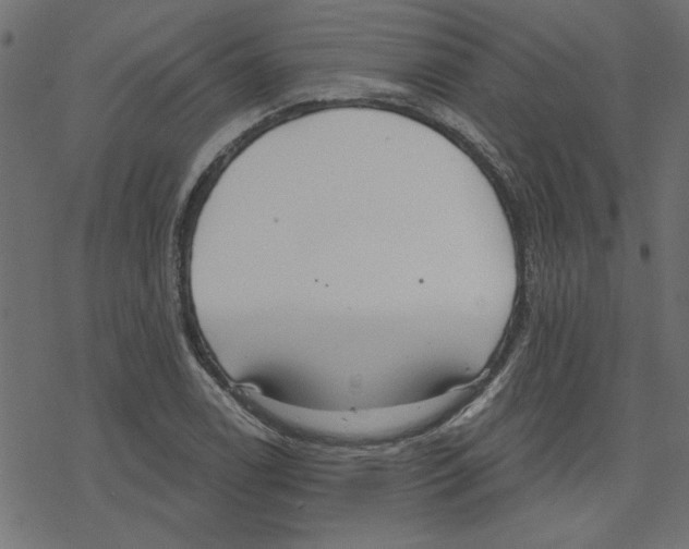 X0000078231122200612011533