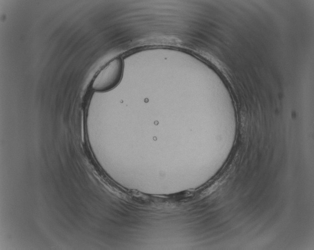 X0000078231123200612011533