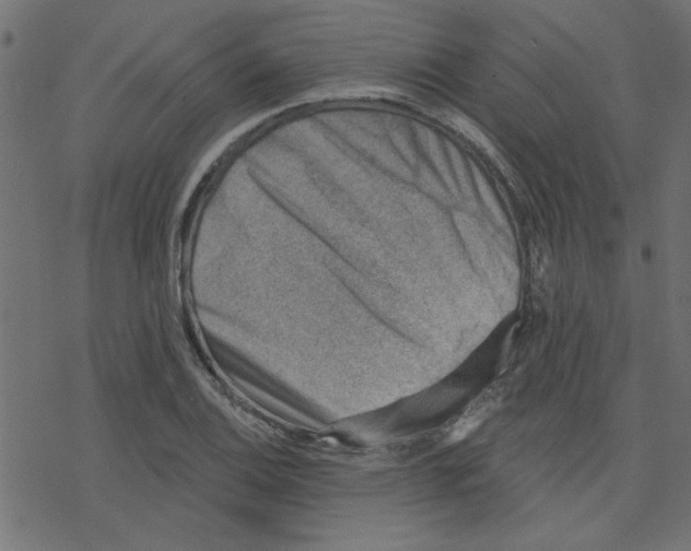 X0000078231124200612011533