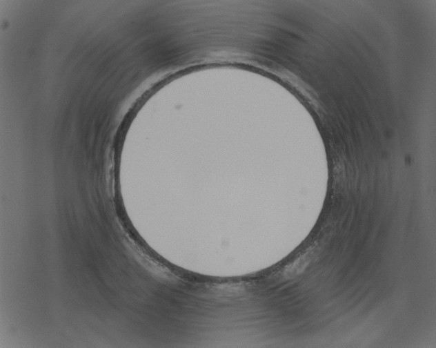 X0000078231126200612011533