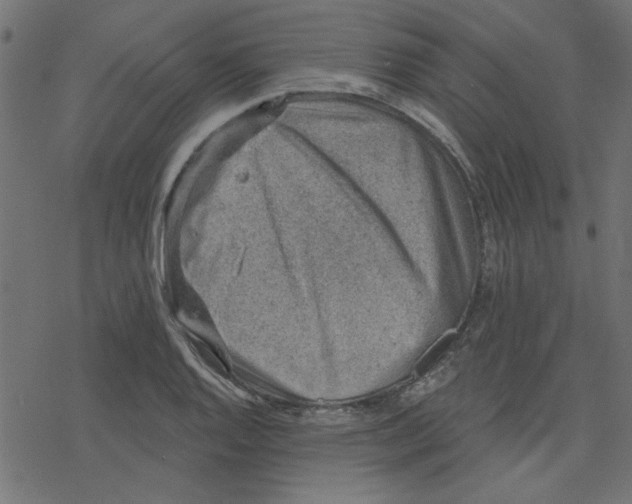 X0000078231128200612011533