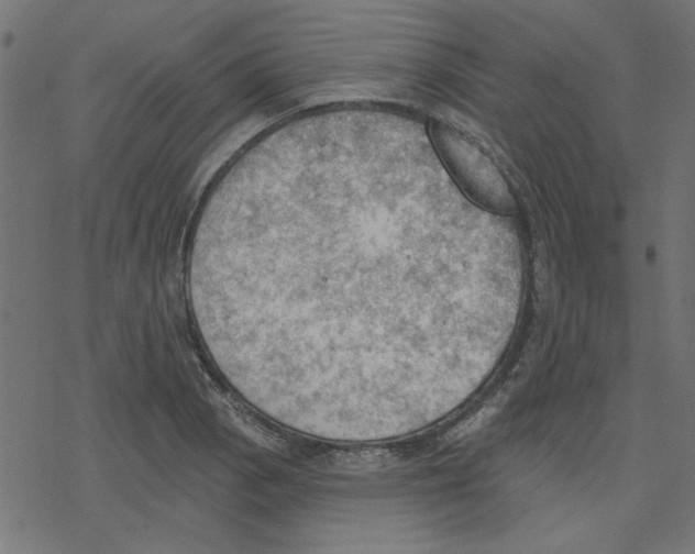 X0000078231129200612011533