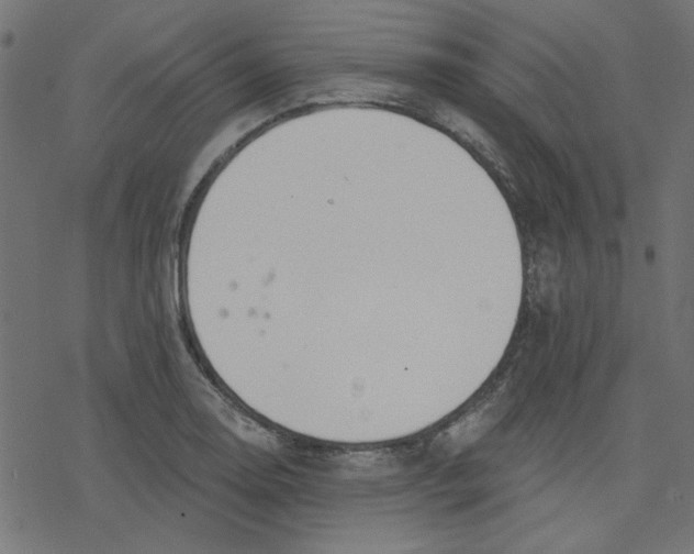 X0000078231130200612011533