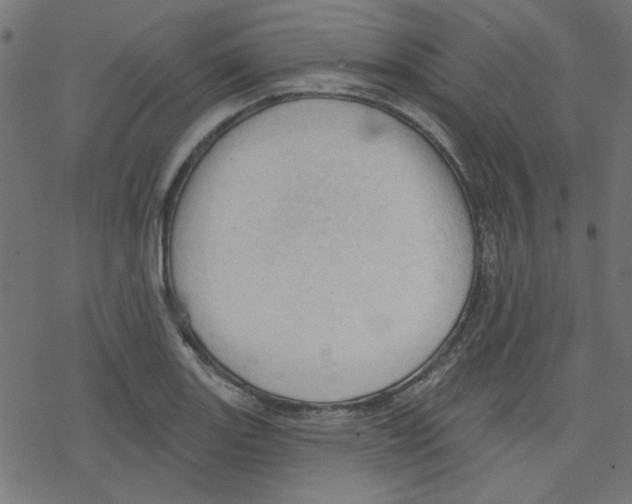 X0000078231131200612011533