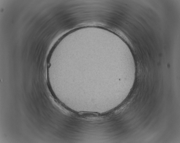 X0000078231132200612011533