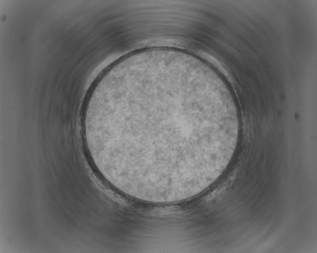 X0000078231133200612011533