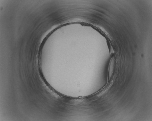 X0000078231134200612011533