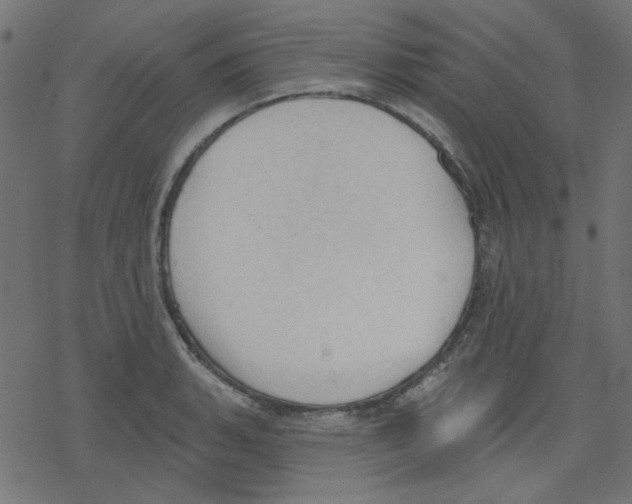 X0000078231135200612011533