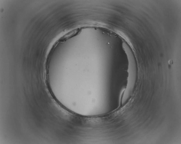 X0000078231136200612011533