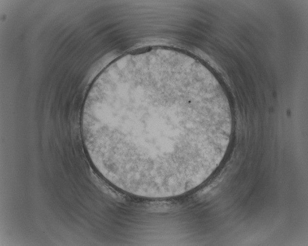 X0000078231137200612011533