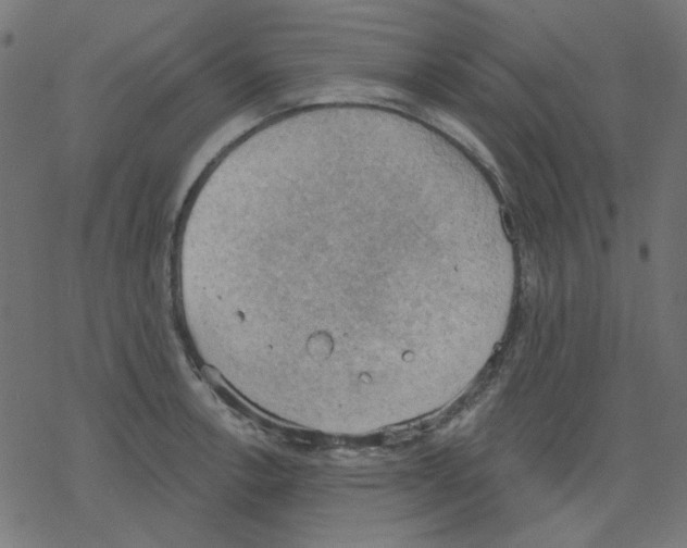 X0000078231138200612011533