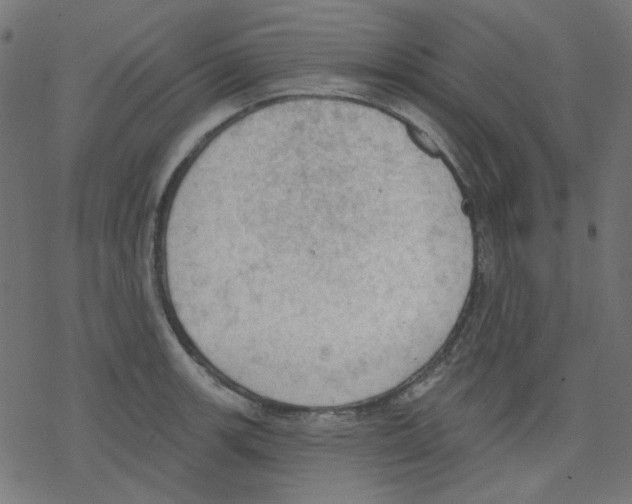 X0000078231139200612011533