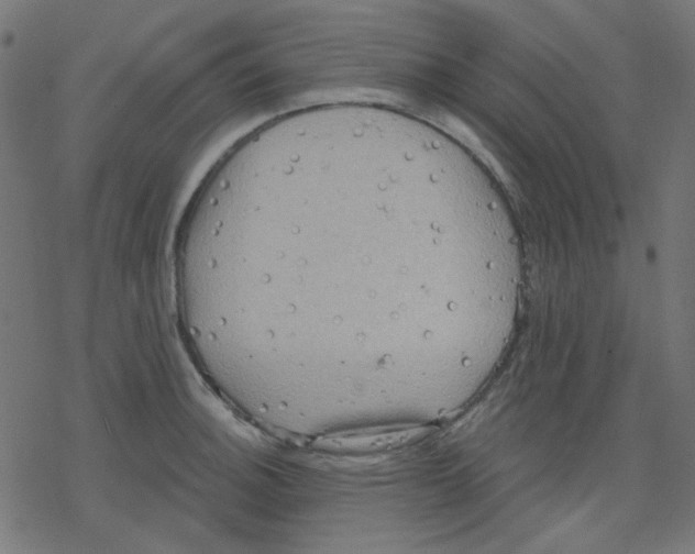 X0000078231140200612011533