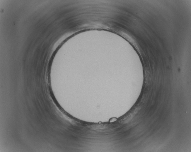 X0000078231141200612011533