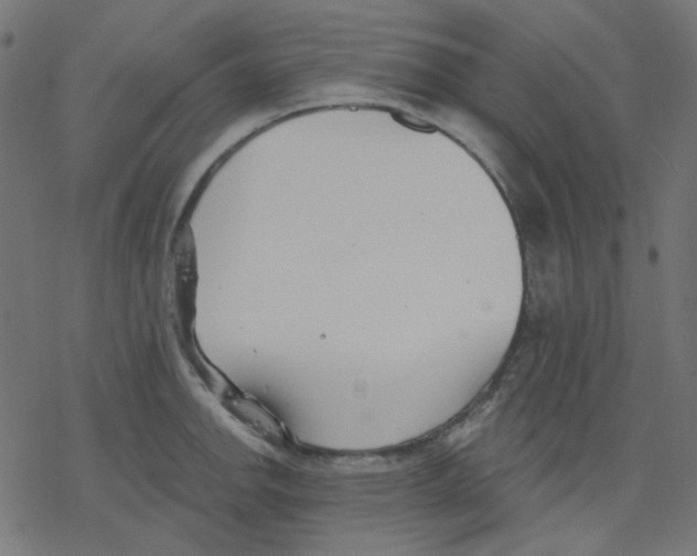 X0000078231142200612011533