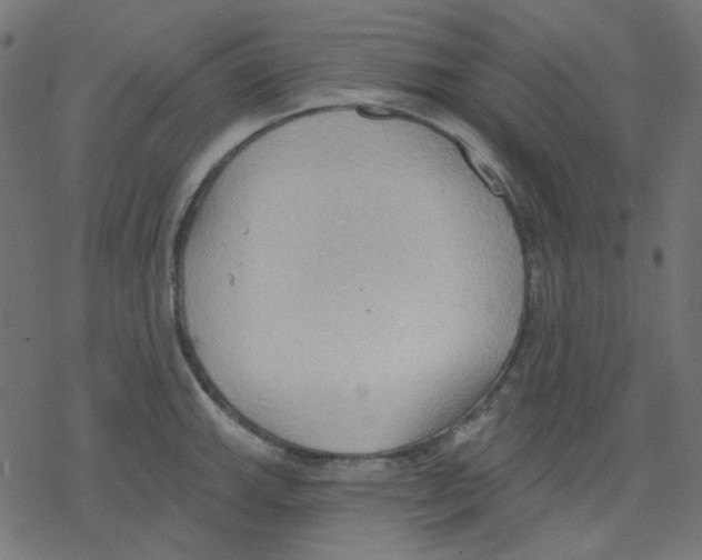 X0000078231143200612011533