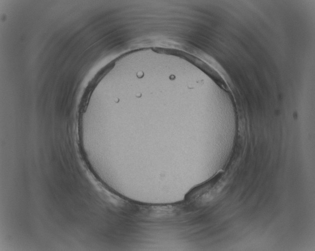 X0000078231144200612011533