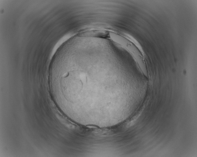 X0000078231146200612011533