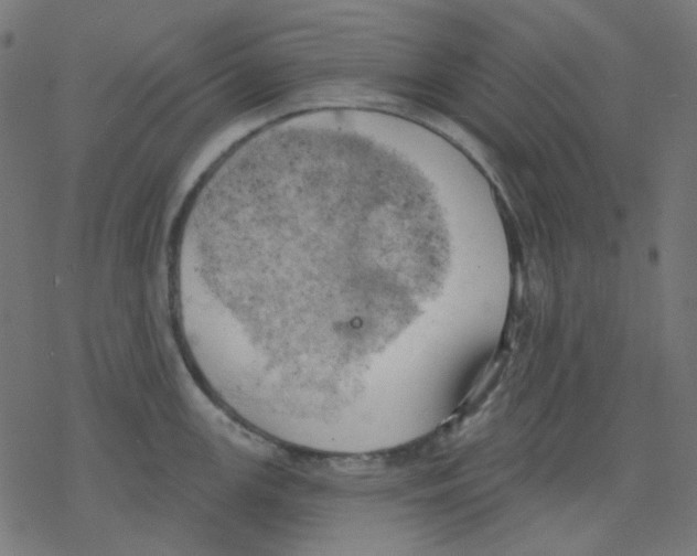 X0000078231147200612011533