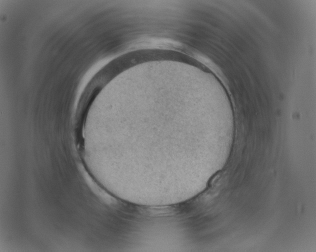 X0000078231152200612011533