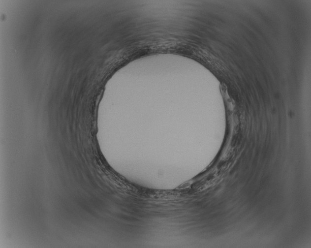 X0000078231153200612011533