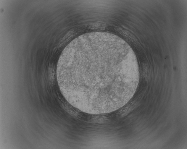 X0000078231154200612011533