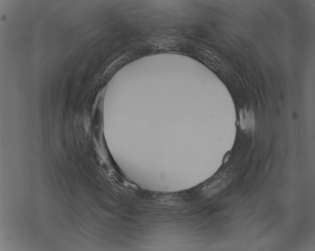 X0000078231155200612011533