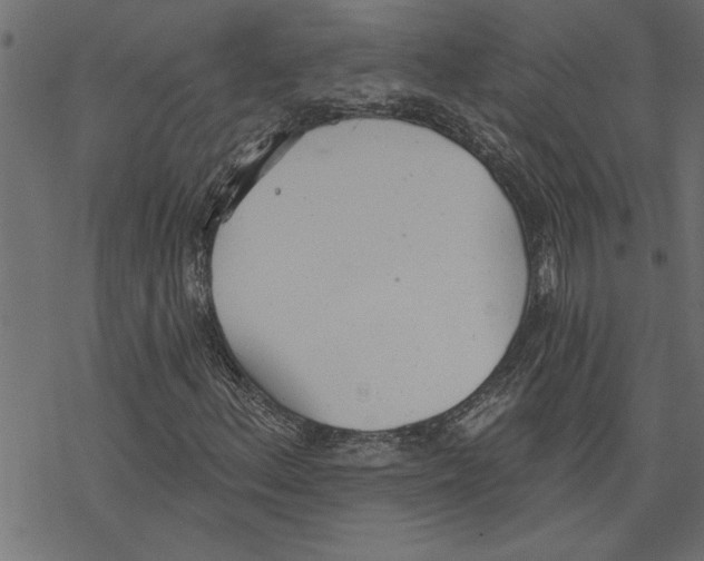 X0000078231156200612011533