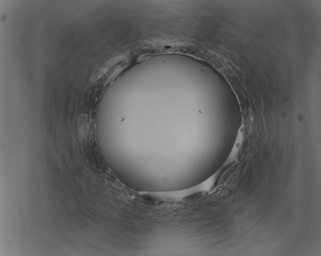 X0000078231157200612011533