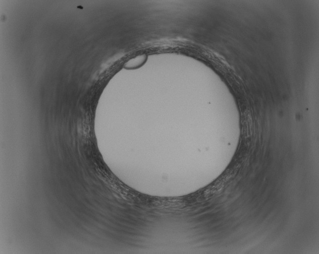 X0000078231158200612011533