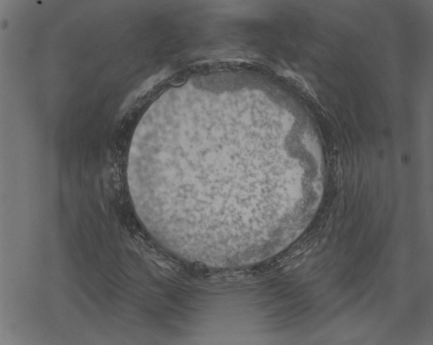 X0000078231159200612011532