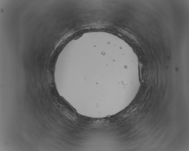 X0000078231160200612011532